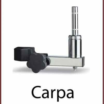 carpa
